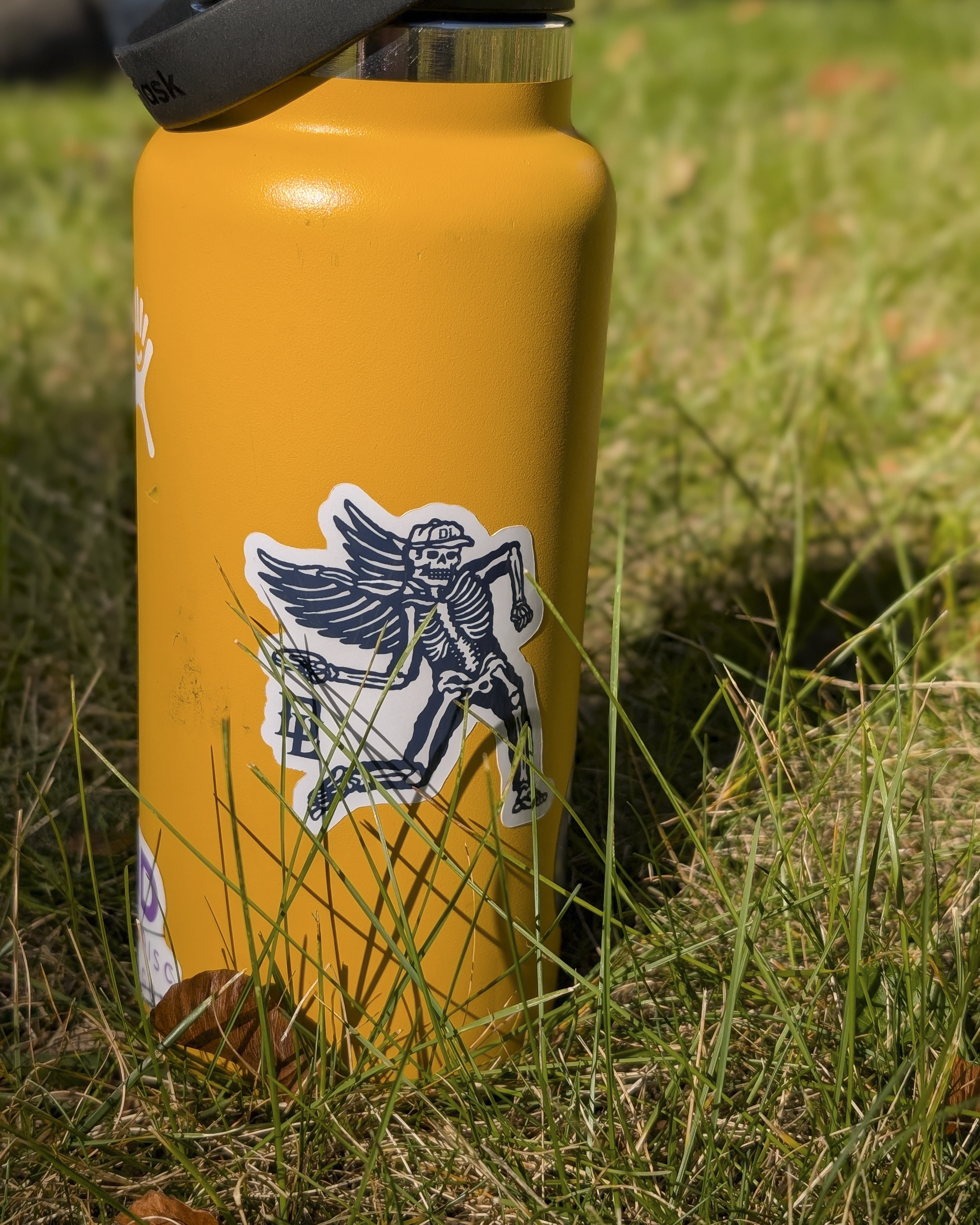 Skellie Sticker Pack