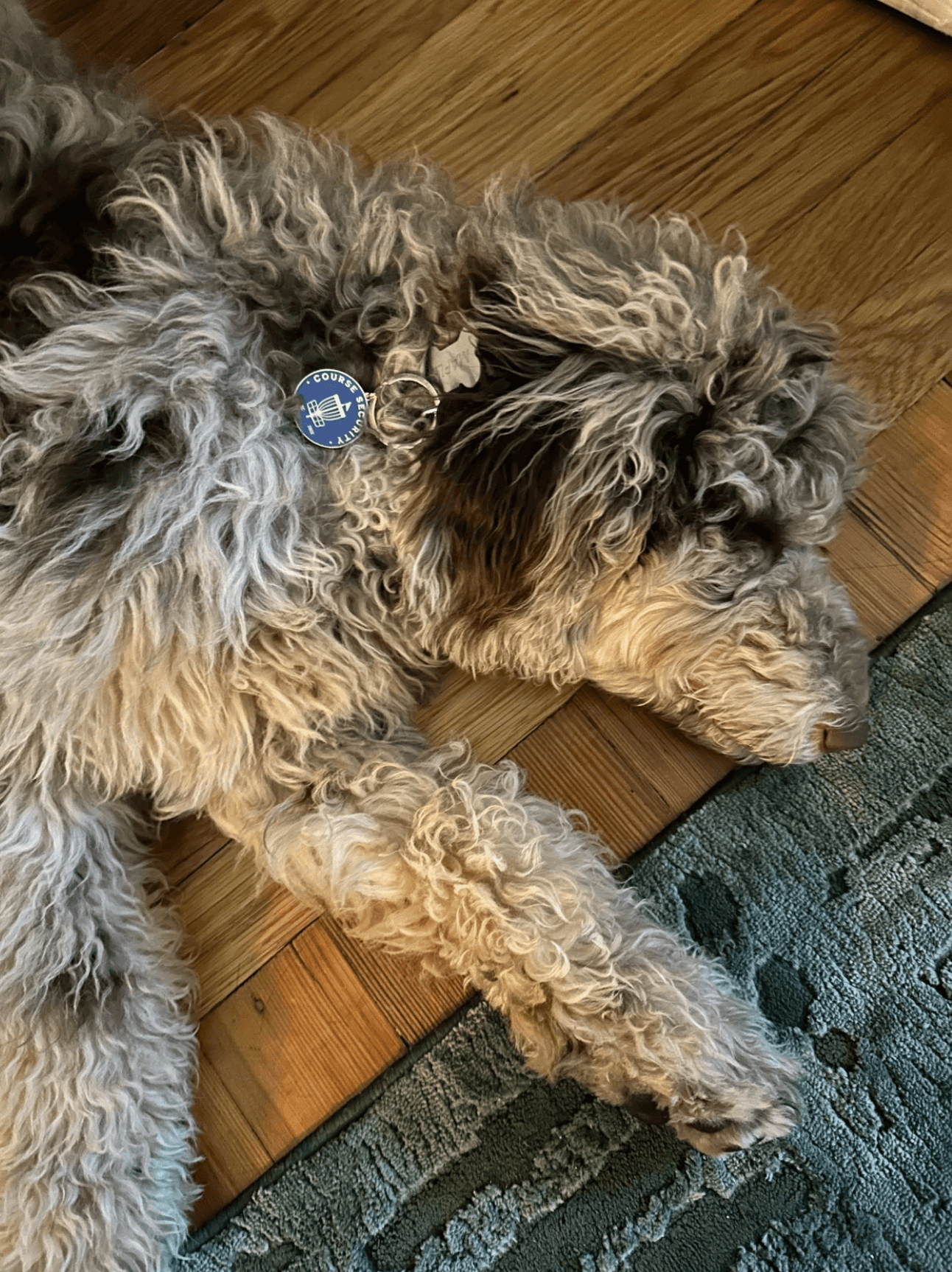 Course Security Dog Tag
